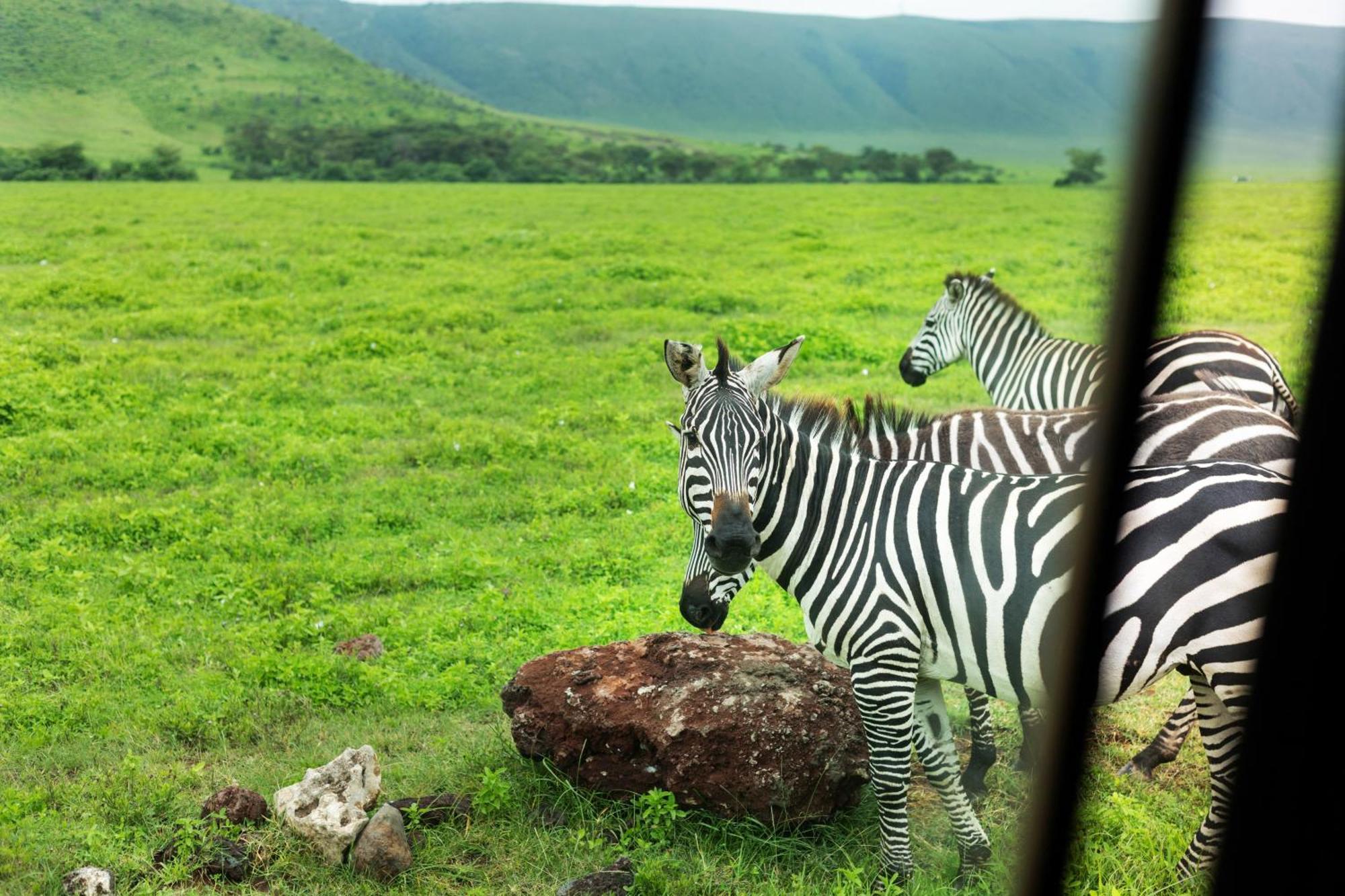 Ngorongoro Lodge Member Of Melia Collection - The Leading Hotels Of The World Exterior foto